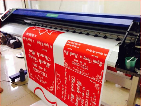 Các loại in PP phổ biến hiện nay
