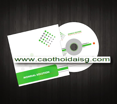 1726500170 805 In nhan dia CD DVD cac loai