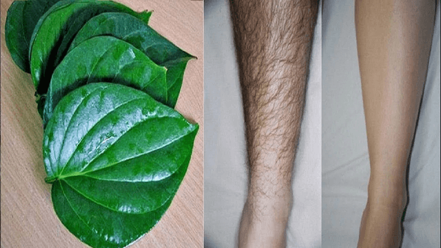 Tẩy tế bào chết cho đôi chân