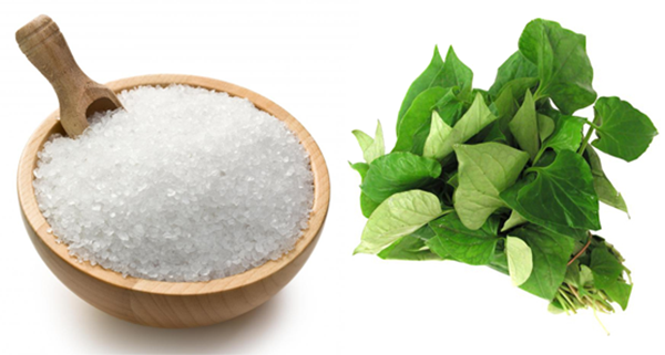 5 Cách trị mụn trứng cá bằng thiên nhiên tốt cho da tại nhà 6 cách trị mụn trứng cá bằng thiên nhiên