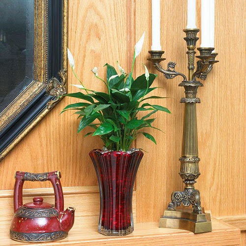 Những Cây Cảnh Luôn Làm Toát Lên Vẽ Quý Phái Cho Chủ Nhân