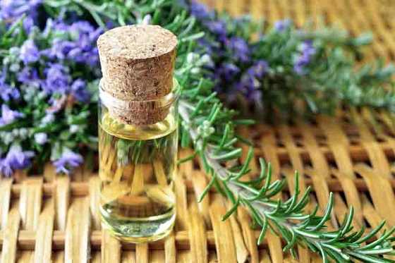 Tinh dầu hương thảo