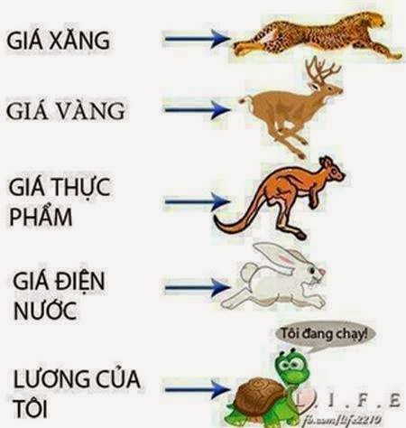 Bộ Sưu Tập ảnh Chế Hihi Hehe Không Muốn Cười Thì đừng Vào (8)