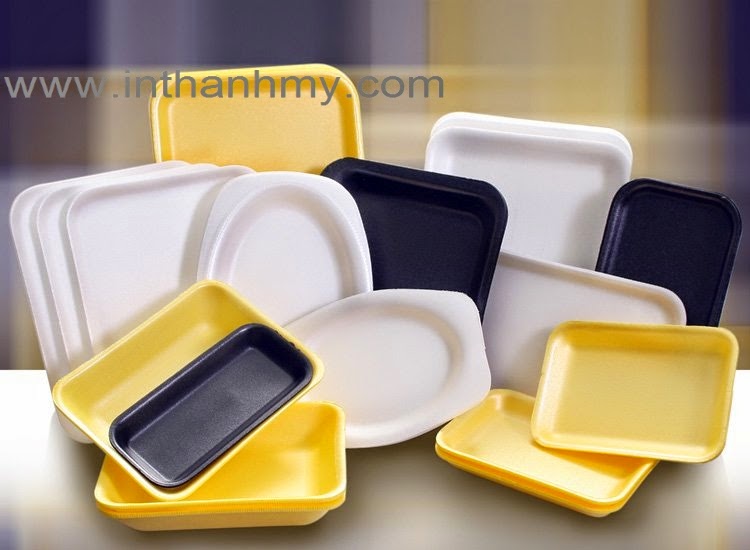 Hộp đựng Thực Phẩm Bằng Xốp (4)