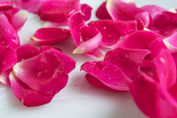 Những Công Dụng Tuyệt Vời Của Hoa Hồng Giúp Làm đẹp Cho Da