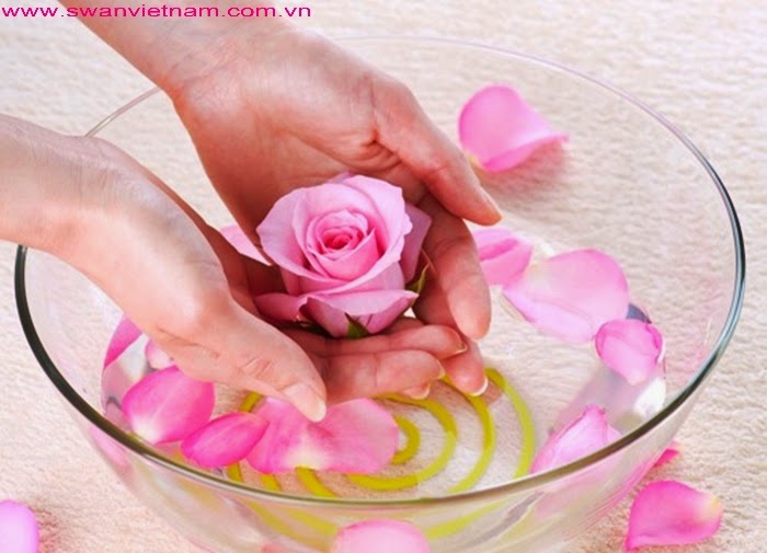 Những Công Dụng Tuyệt Vời Của Hoa Hồng Giúp Làm đẹp Cho Da