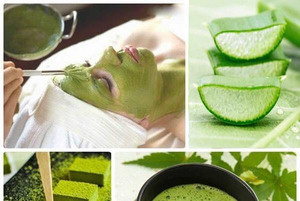 Những Phương Thức Làm đẹp Từ Trà Xanh