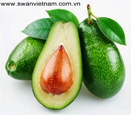 Phương Pháp Tẩy Lông Nách Hữu Hiệu Bằng Các Loại Dược Phẩm Từ Thiên Nhiên (3)