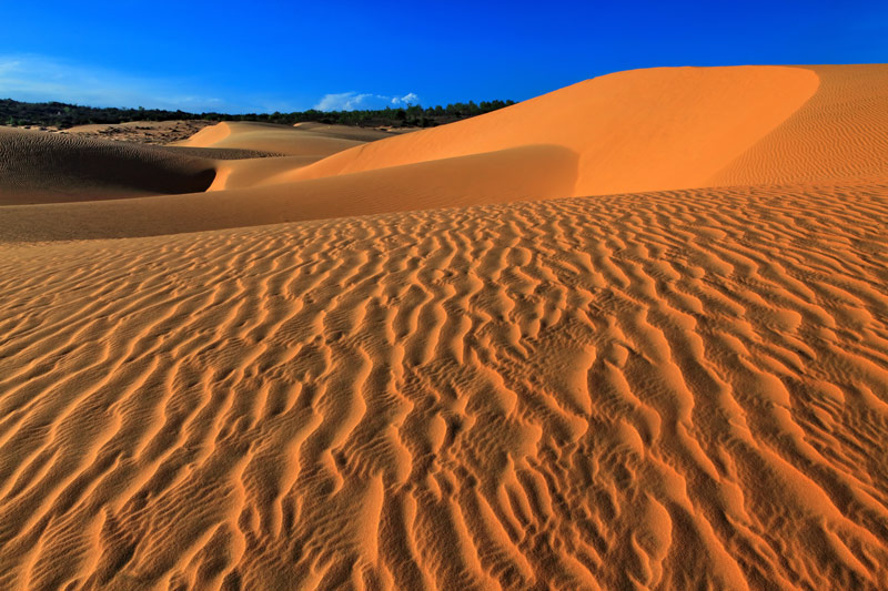DU LỊCH PHAN THIẾT - MŨI NÉ - CÔNG VIÊN TƯỢNG CÁT [ƯU ĐÃI]