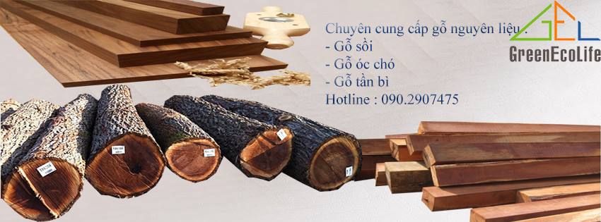 Chuyen cung cap go nguyen lieu go soi tan bi oc cho nhap khau gia re tai Greenecolife 6