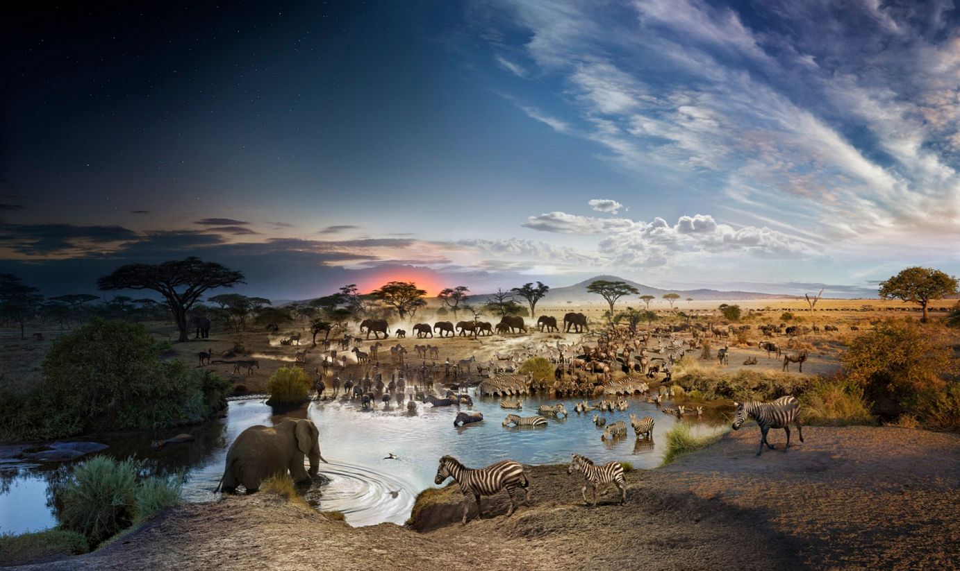 dia diem du lich tai tanzania 2 min