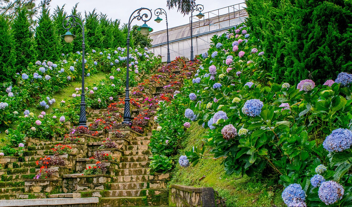 tour da lat 3 e1499851137969