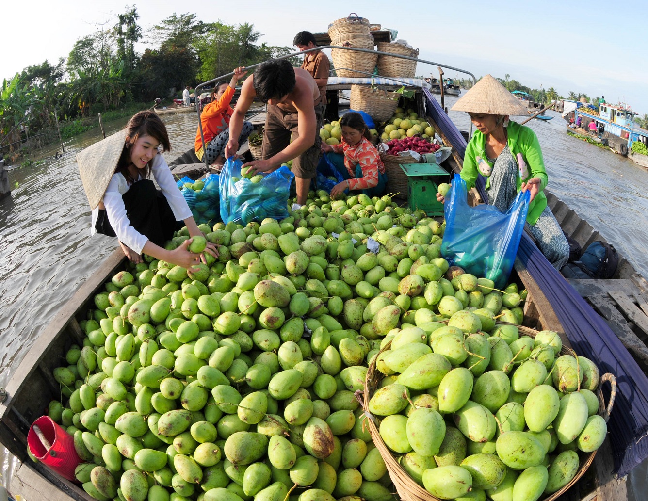 Chuyen du lich bui Tien Giang diem cuon hut du khach du lich 3