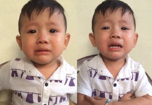 Em be meu mao hat Gui anh xa nho khien dan mang thich thu 1