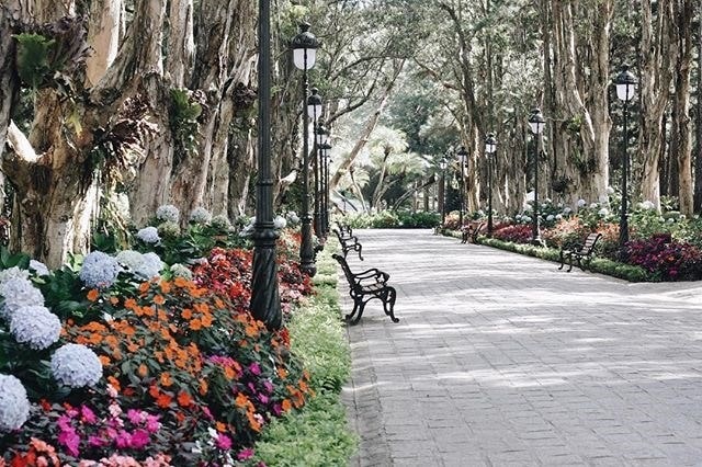 kham pha dinh 1 da lat 13 min