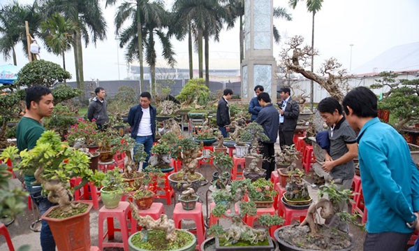 Ngày Tết Việt Nam Có Ý Nghĩa Gì Giải Nghĩa Câu Hỏi Nhiều Người Quan Tâm