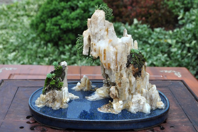Những thực thể bonsai làm nhẹ nhàng cuộc sống của bạn