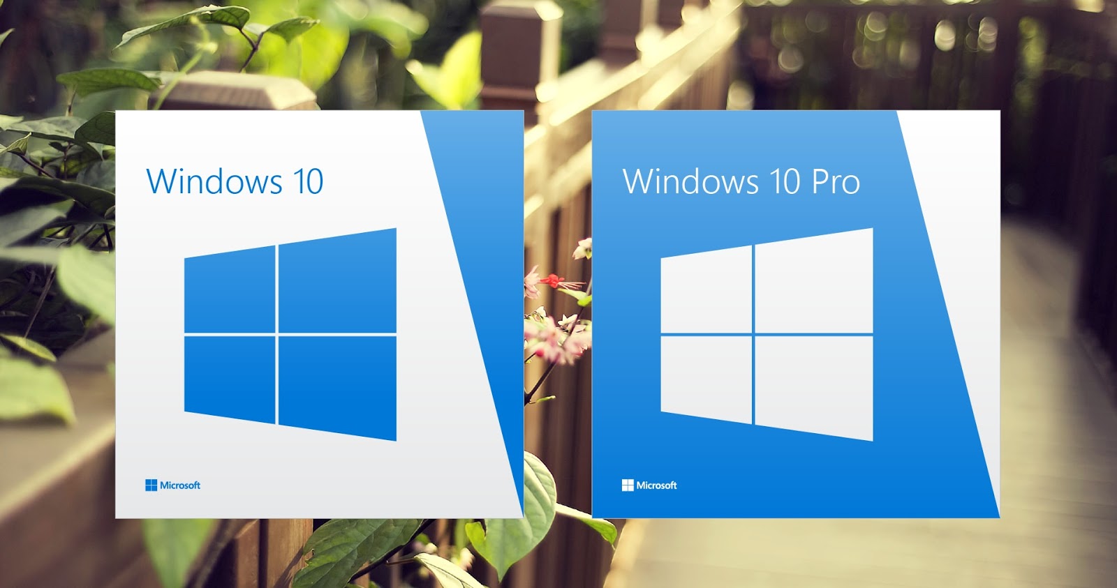 Windows 10
