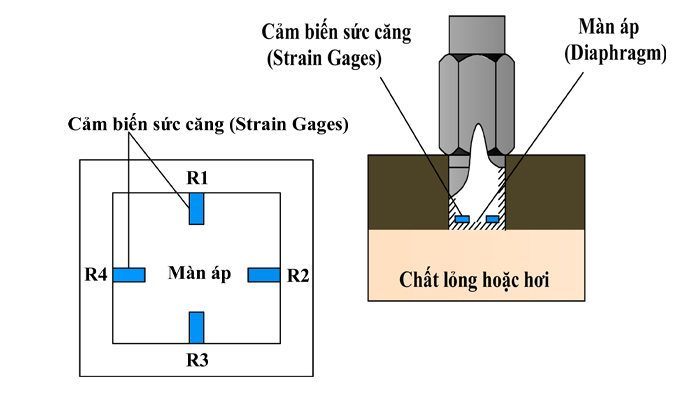 Cảm biến đo mức radar xuất xứ Châu Âu 16 Cấu tạo cảm biến đo áp suất