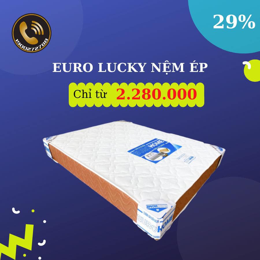 Tổng Đài Nệm "Euro Home" Chăn, Ga, Gối, Nệm - Dịch Vụ Vệ Sinh Nệm Tại Nhà