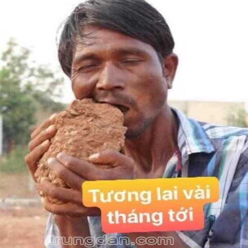 dung-cu-di-an-xin-trong-tuong-lai
