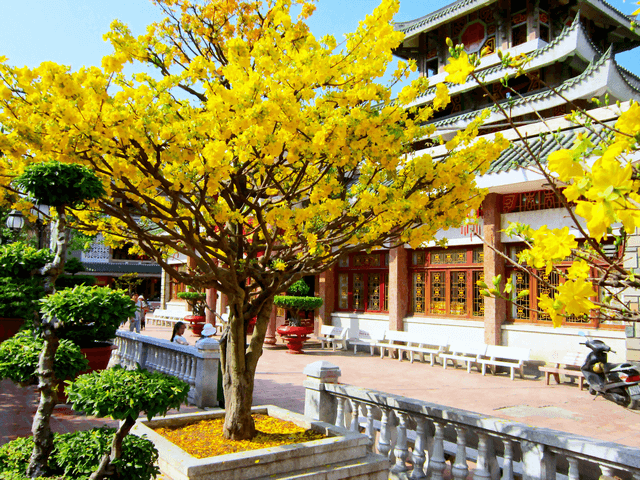Từ Tháng 5 đến Tháng 6