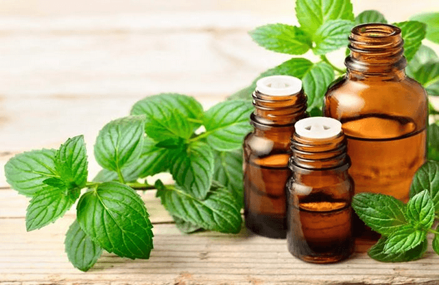 Trứng ốp bạc hà tăng cường chức năng gan