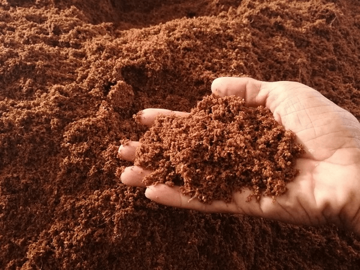 Các loại đất trồng cây cảnh cần có những yếu tố gì?