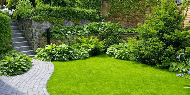 Các lớp thi công vườn trên mái