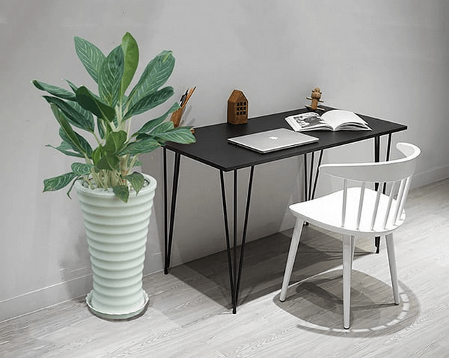 Những lưu ý khi tưới nước cho cây như sau