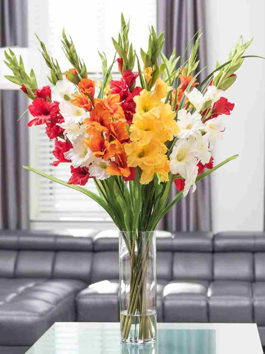 Nhũng Loài Hoa Thường Nở Vào Mùa Xuân đẹp Mê Say