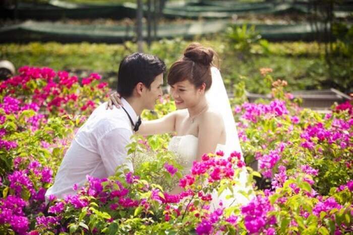 Cách thực hiện nhân giống hoa giấy Nhiều màu