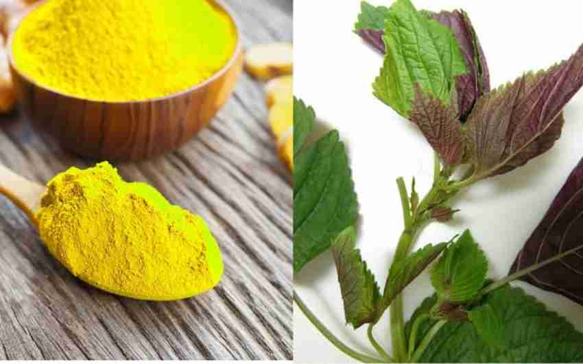 Cách Trị Nám Da Mặt Tại Nhà Từ Nguyên Liệu Thiên Nhiên