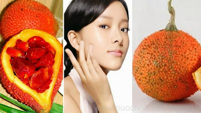 Công dụng làm đẹp từ dầu gấc