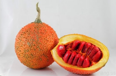 Công dụng làm đẹp từ dầu gấc