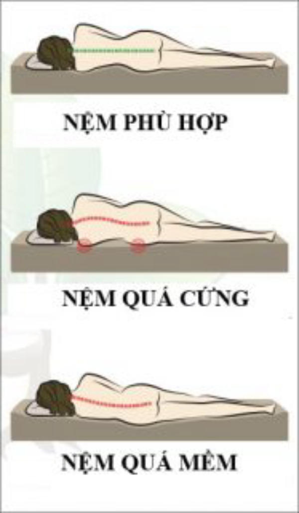 Bí quyết lựa chọn tấm nệm chất lượng tốt nhất cho người cao tuổi