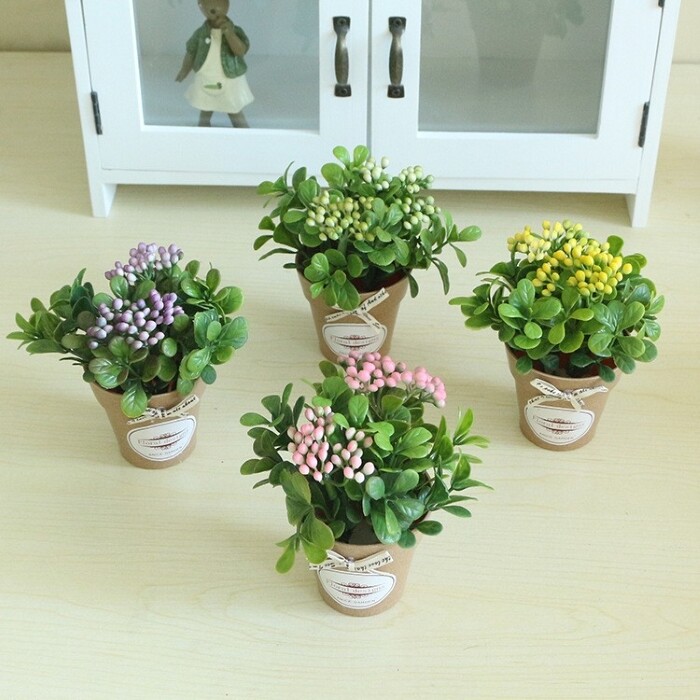 Hoa Mini Sự Lựa Chọn Hoàn Hảo Cho Văn Phòng