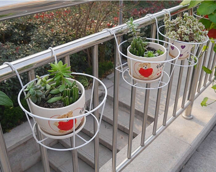 Hoa Mini Sự Lựa Chọn Hoàn Hảo Cho Văn Phòng