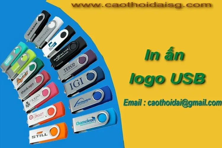 In an logo hoa van len USB chuyen nghiep