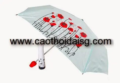 In an quang cao len du che nang mua