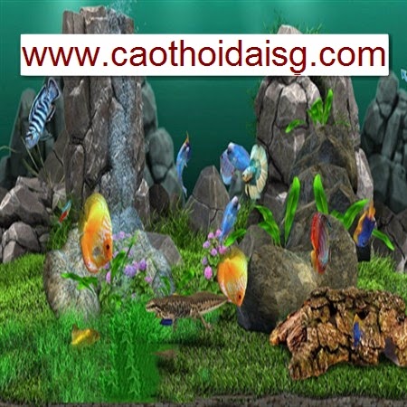 In tranh 3D cho be ca kieng cac loai