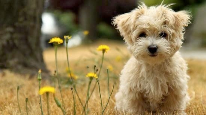 Mới tắm xong làm một kiểu kĩ niệm
