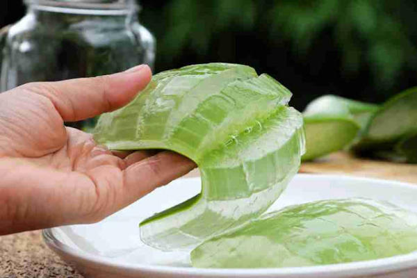 Vài cách trị nám đơn giản nhưng vô cùng hiệu quả 20 Vài cách trị nám đơn giản nhưng vô cùng hiệu quả