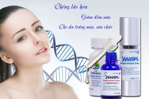 bo san pham chong lao hoa da