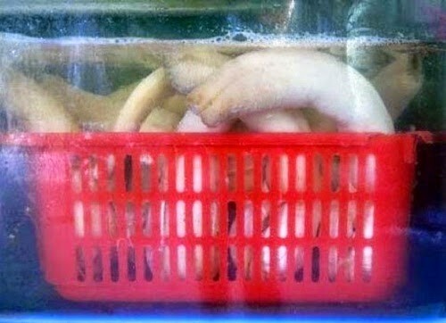 Những món ăn đặc biệt dành cho nhà giàu