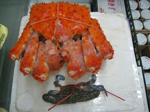 Những món ăn đặc biệt dành cho nhà giàu