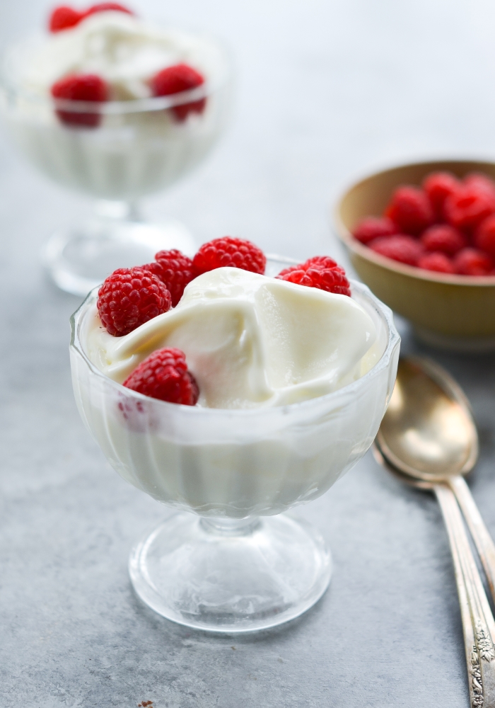 frozen yogurt ngon 2